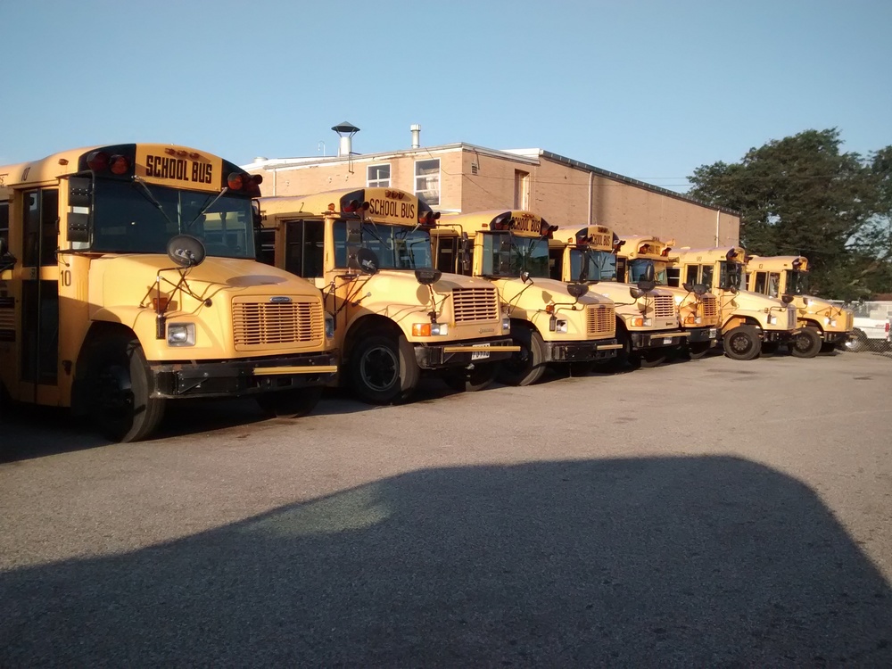 Picture of several school buses in a row