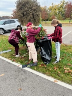 Botany Club and Beautify Belpre